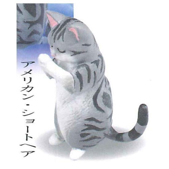 Гассё 4 поклонение американскому короткометражному фильму [3. волосы] (один предмет)